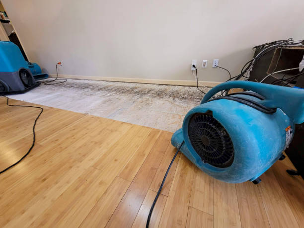 Professional Water Removal technician working in Patrick, SC